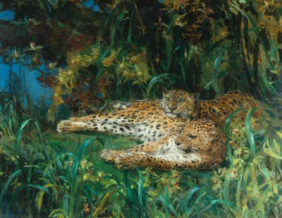 Leopardos Indios de John Macallan Swan